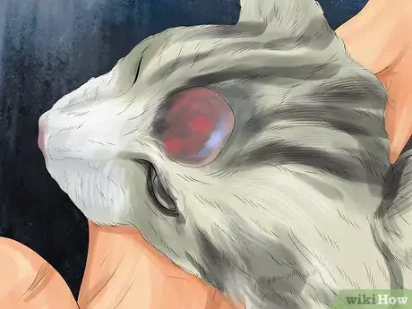 Imagen titulada Identify Lumps on Your Cat Step 12