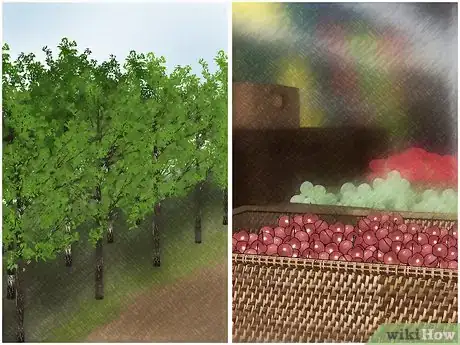 Imagen titulada Select and Store Cherries Step 1