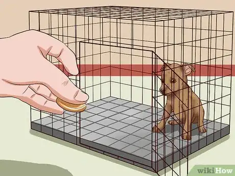 Imagen titulada Care for a Miniature Pinscher Step 13
