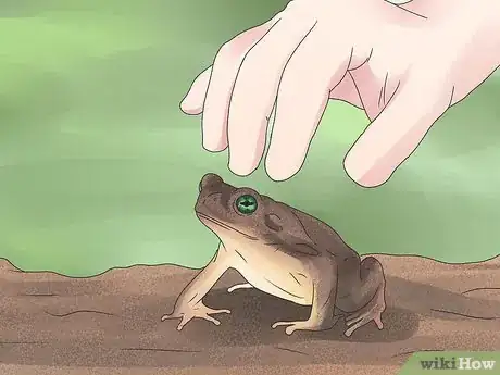 Imagen titulada Control Cutworms Step 13