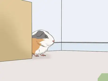 Imagen titulada Hold a Guinea Pig Step 12