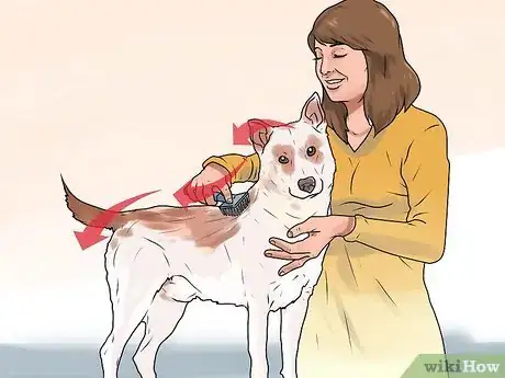Imagen titulada Rid Your Pet of Fleas Step 14