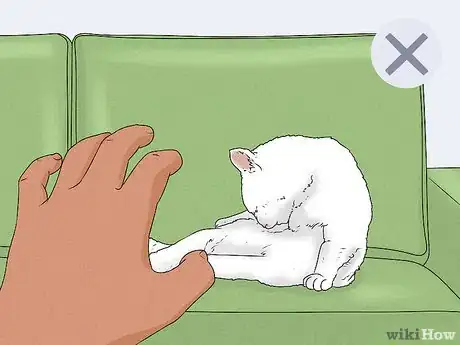 Imagen titulada Give Your Cat a Massage Step 7