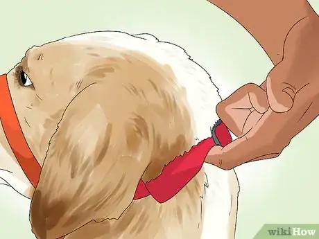 Imagen titulada Put a Gentle Leader on a Dog Step 7