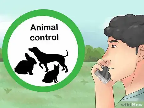 Imagen titulada Catch a Pet Rabbit Step 19