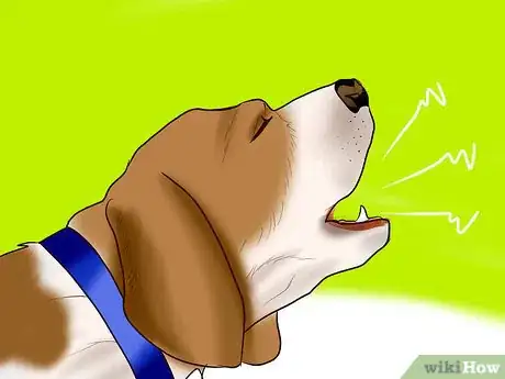 Imagen titulada Identify a Beagle Step 5