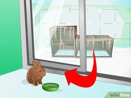 Imagen titulada Keep a Rabbit Warm Step 10