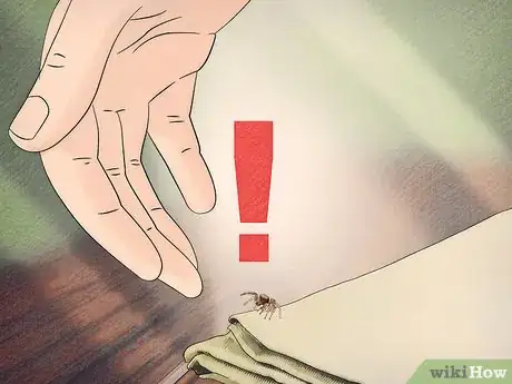 Imagen titulada Catch and Care for a Jumping Spider Step 8