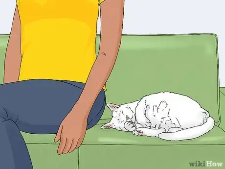 Imagen titulada Give Your Cat a Massage Step 8