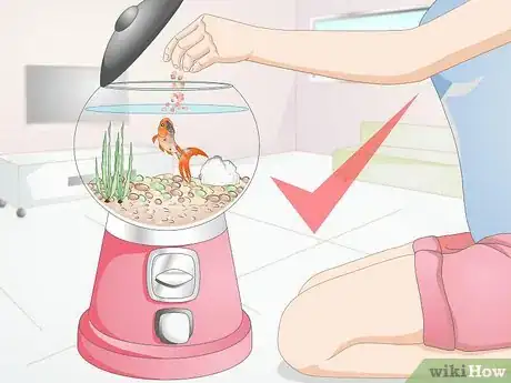 Imagen titulada Creatively Decorate a Freshwater Fish Tank Step 3