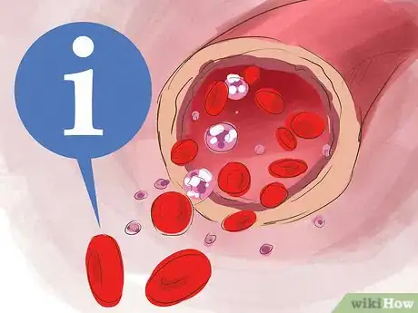 Imagen titulada Increase Red Blood Cell Count Step 12