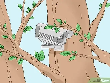 Imagen titulada Hide a Security Camera Outside Step 2