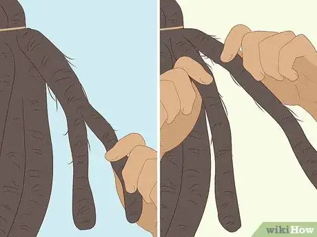 Imagen titulada Start Locs on Natural Hair Step 22