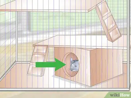 Imagen titulada Care for Chinchillas Step 4