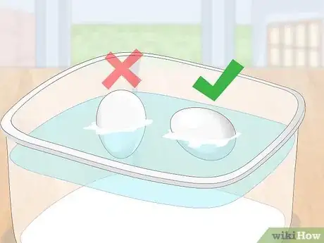 Imagen titulada Tell if Duck Eggs Are Dead or Alive Step 11