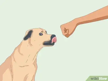 Imagen titulada Pet a Dog Step 6
