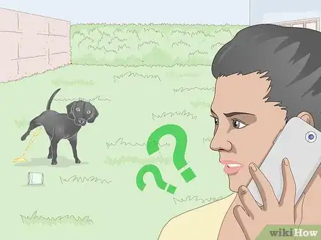 Imagen titulada Get a Urine Sample from a Male Dog Step 11