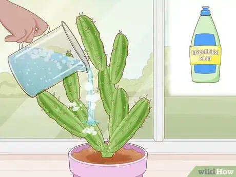 Imagen titulada Get Rid of Cactus Bugs Step 5