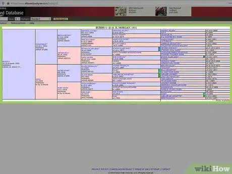 Imagen titulada Research a Horse's Bloodline Step 4