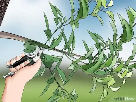 Imagen titulada Kill Leaf Footed Bugs Step 12