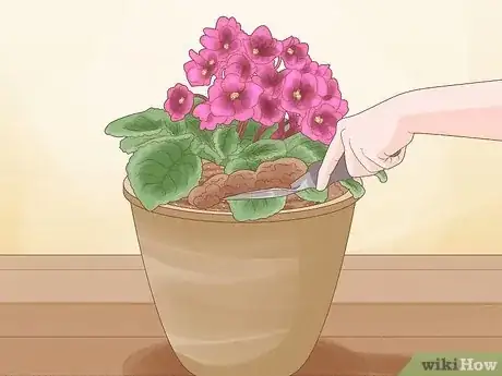 Imagen titulada Repot African Violets Step 11