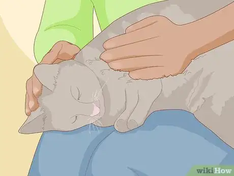 Imagen titulada Pet a Cat Step 8