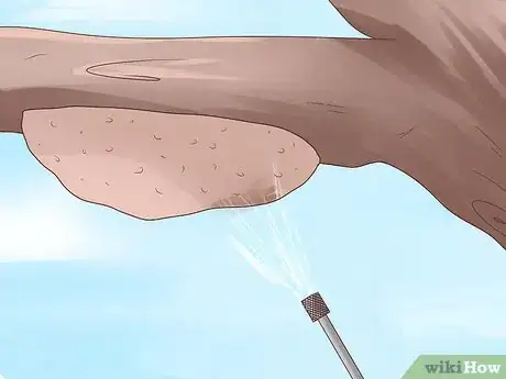 Imagen titulada Remove Bees Step 10