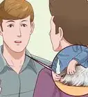 limpiar a tu gato si no puede hacerlo él mismo