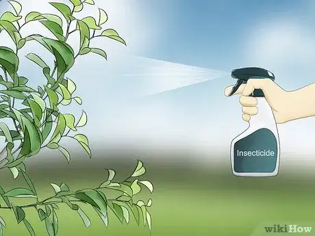 Imagen titulada Kill Leaf Footed Bugs Step 15