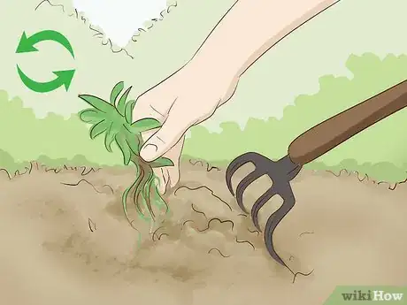 Imagen titulada Create a Rain Garden Step 16.jpeg