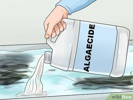 Imagen titulada Get Rid of Blackspot Algae in Your Swimming Pool Step 9