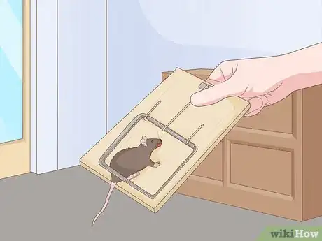 Imagen titulada Get a Mouse Out of the House Step 7