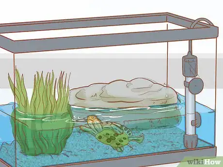 Imagen titulada Take Care of Baby Water Turtles Step 19