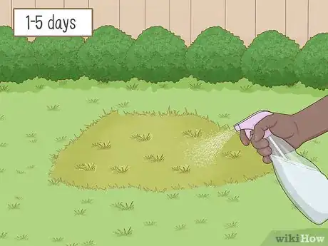 Imagen titulada Apply Diatomaceous Earth Step 1