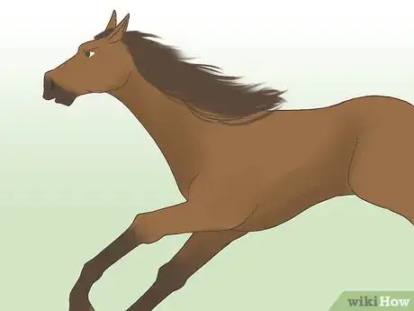 Imagen titulada Get a Horse Fit Step 4