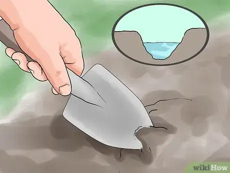 Imagen titulada Find a Snail Step 9