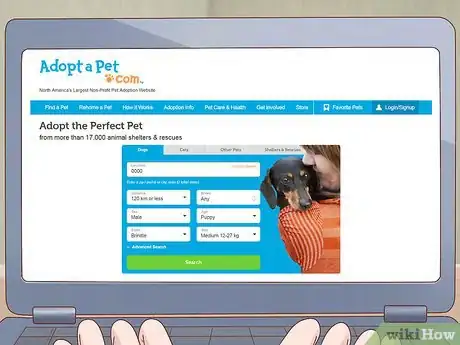 Imagen titulada Buy a Dog Step 2