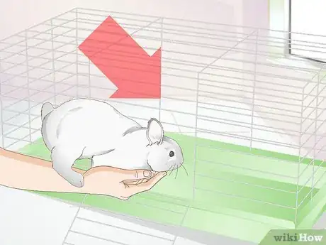 Imagen titulada Clean a Rabbit Cage Step 7