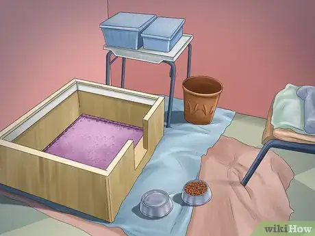 Imagen titulada Help Your Dog After Giving Birth Step 3