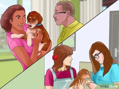 Imagen titulada Temperament Test a Dog Step 8
