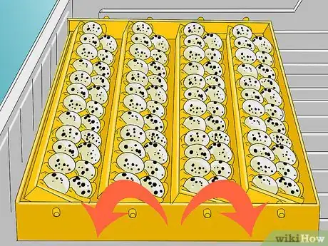 Imagen titulada Raise Quail Step 14