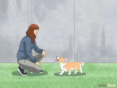 Imagen titulada Pet a Dog Step 4