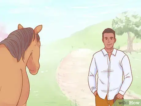 Imagen titulada Join Up With a Horse Step 4