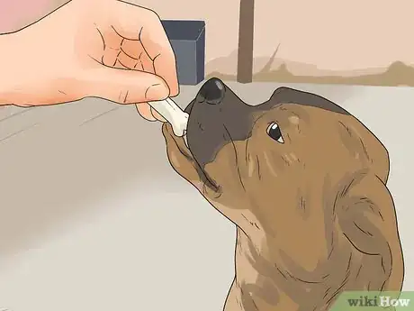 Imagen titulada Introduce a New Puppy Step 20