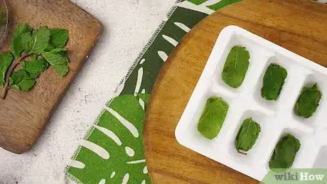 Imagen titulada Keep Mint Leaves Fresh Step 10