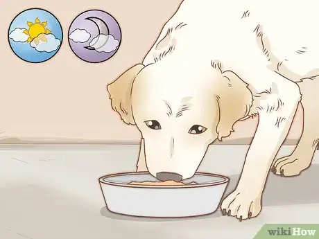 Imagen titulada Take Care of a Dog Step 2