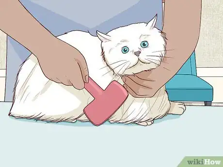 Imagen titulada Deal with a Paralyzed Cat Step 8