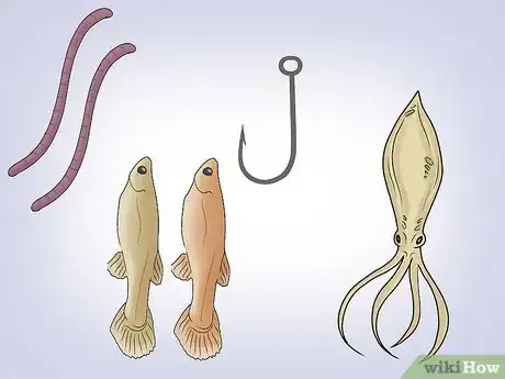 Imagen titulada Fish for Flounder Step 6