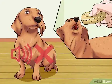 Imagen titulada Train Dogs Not to Bark Step 12