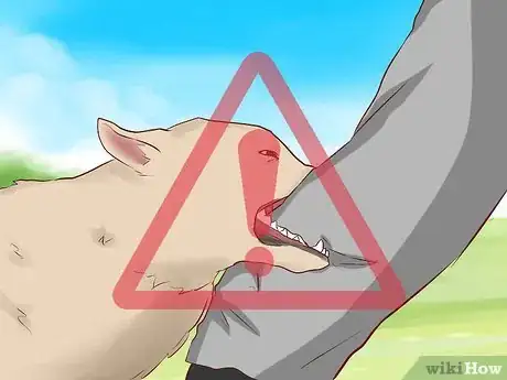 Imagen titulada Train a Puppy Not to Bite Step 8